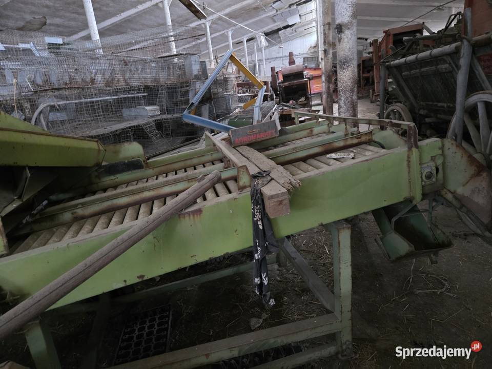 Sortownik warzyw ziemniaków nieuszkodzony opolskie sprzedam