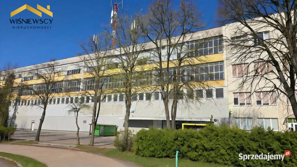 Lokal na wynajem Królewieckiej 42m2 Elbląg