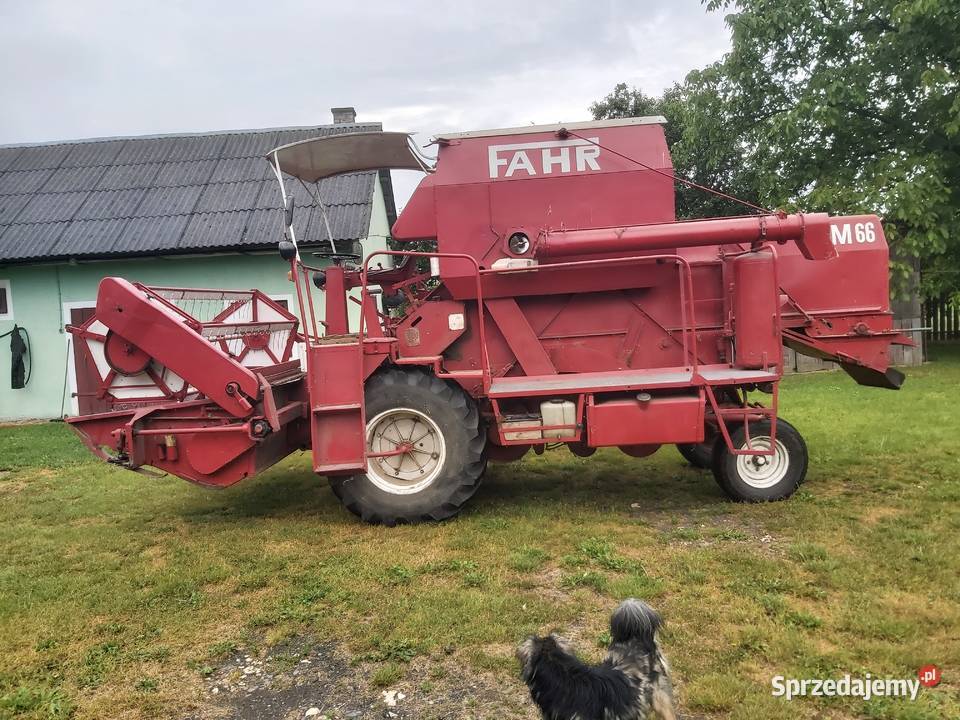 Kombajn zbożowy Fahr M 66 Kąkolewnica Północna