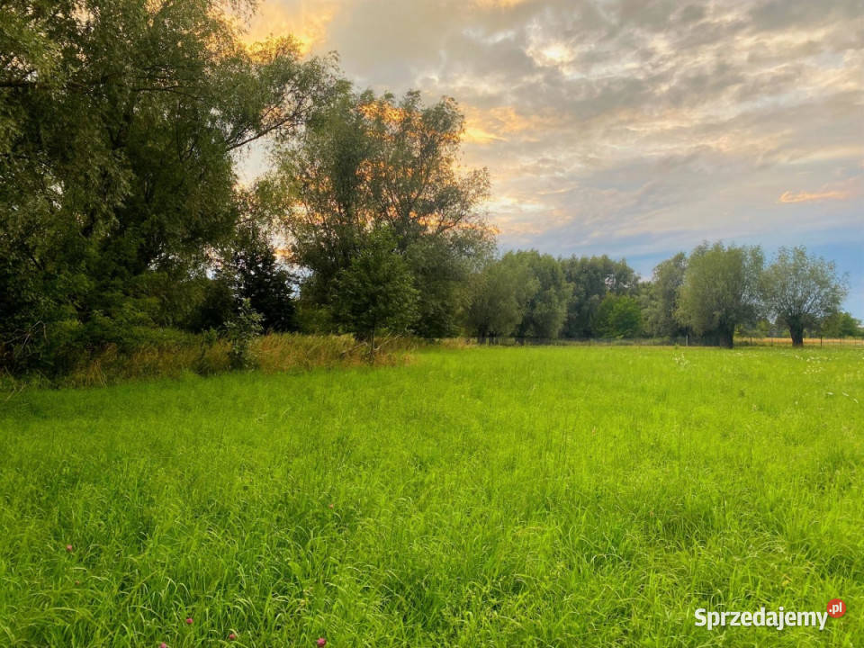 Nieruchomość 16 650 m2 działki budowlane i rolna 16650m2 Sprzedaż Cząstków Mazowiecki