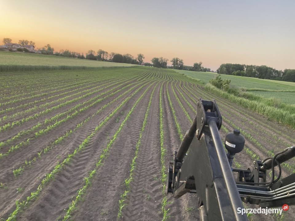 Siewnik do kukurydzy kuhn planter 3m talerzowy Różyce