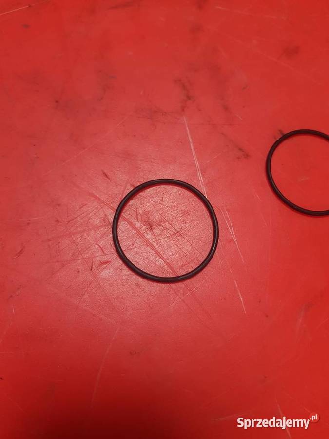 86013217 Pierścień uszczelniający CNH Holland Sulechów