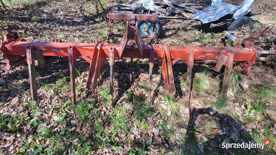 Bezorkowiec Kłodzko