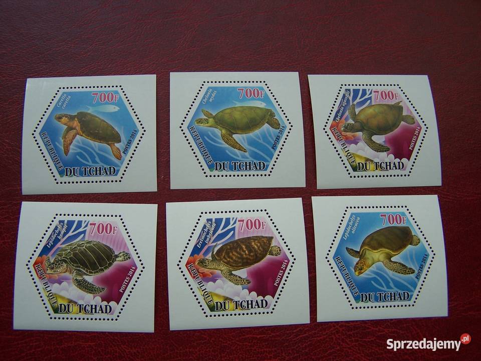 Czad 2014 MNH Fauna Żółwie Antyki, Sztuka, Kolekcje