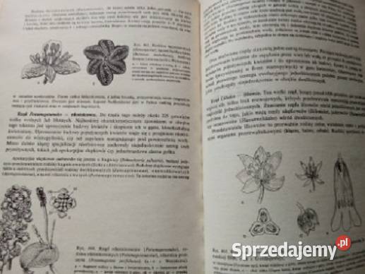 Botanika Podręcznik szkół wyższych Szweykowska