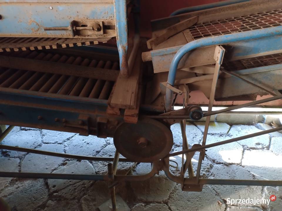 sortownik do ziemniaków polski Puck Nowosady