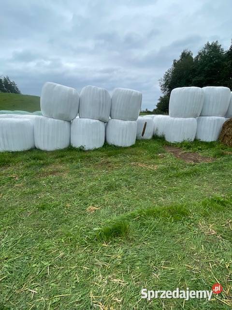 Baloty sianokiszonki Mrągowo sprzedam