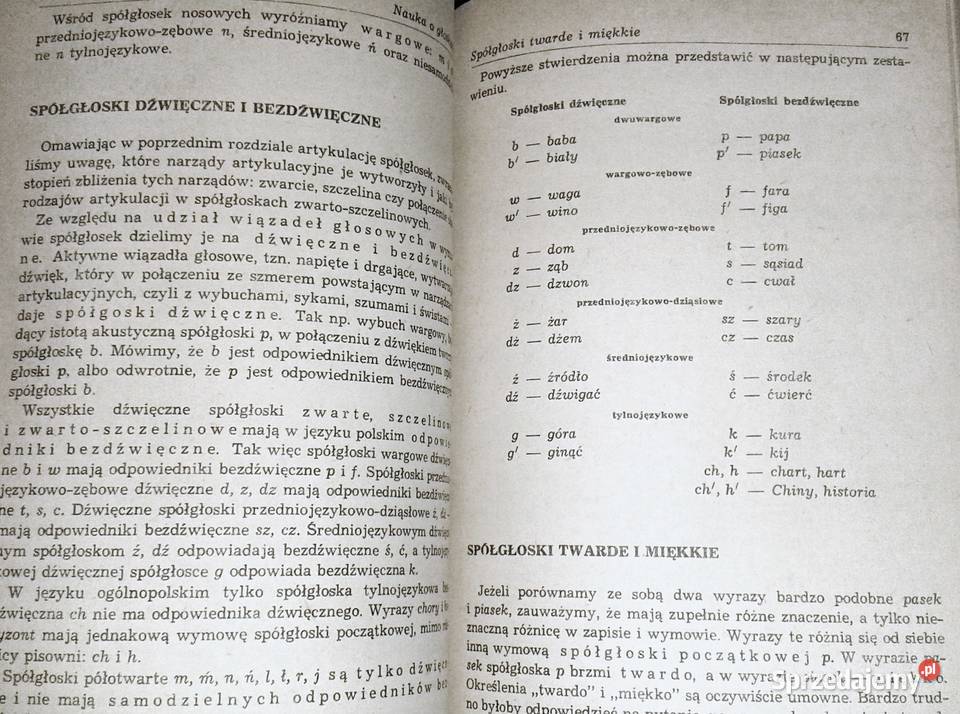 Piotr Bąk Gramatyka Języka Polskiego Gramatyka języka polskiego. Zarys popularny - Piotr Bąk Chełm