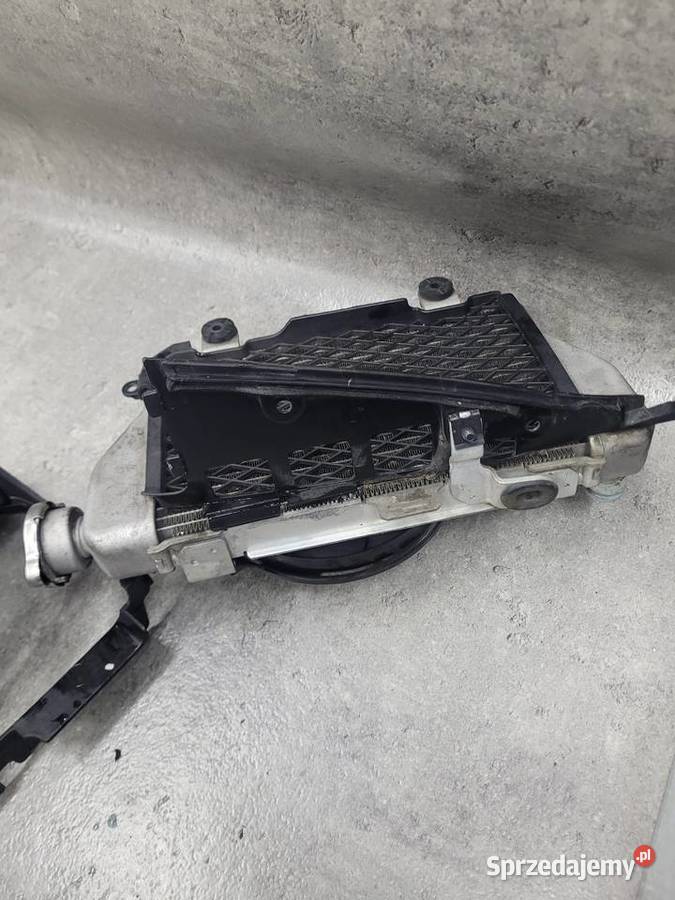 Honda CRF 1000 AFRICA TWIN 17 CHŁODNICA WIATRAK wielkopolskie sprzedam