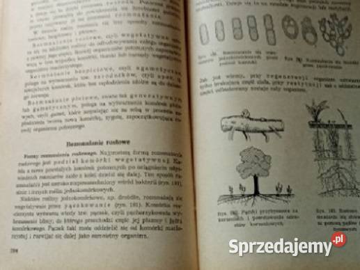 Botanika techników leśnych Obmiński 1959 biologia, ekologia łódzkie Łódź