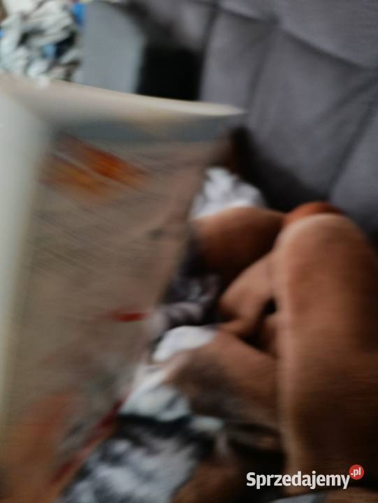 Angielski Baw się i ucz 3 CD wielkopolskie Poznań