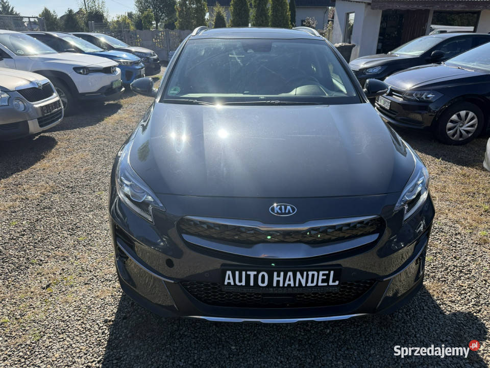 Kia XCeed plugin hybryd automat gwarancja 13 Zbąszyń