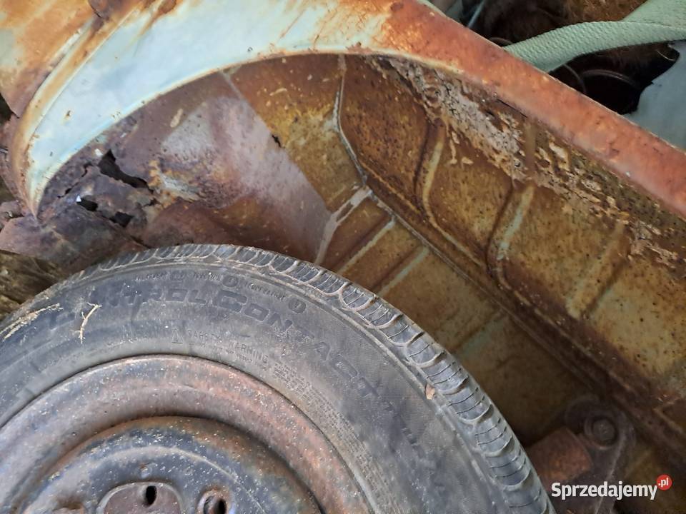 Volkswagen T1 bulik Produkcja niemiecka 1964r Rok produkcji 1964 Transporter Białystok