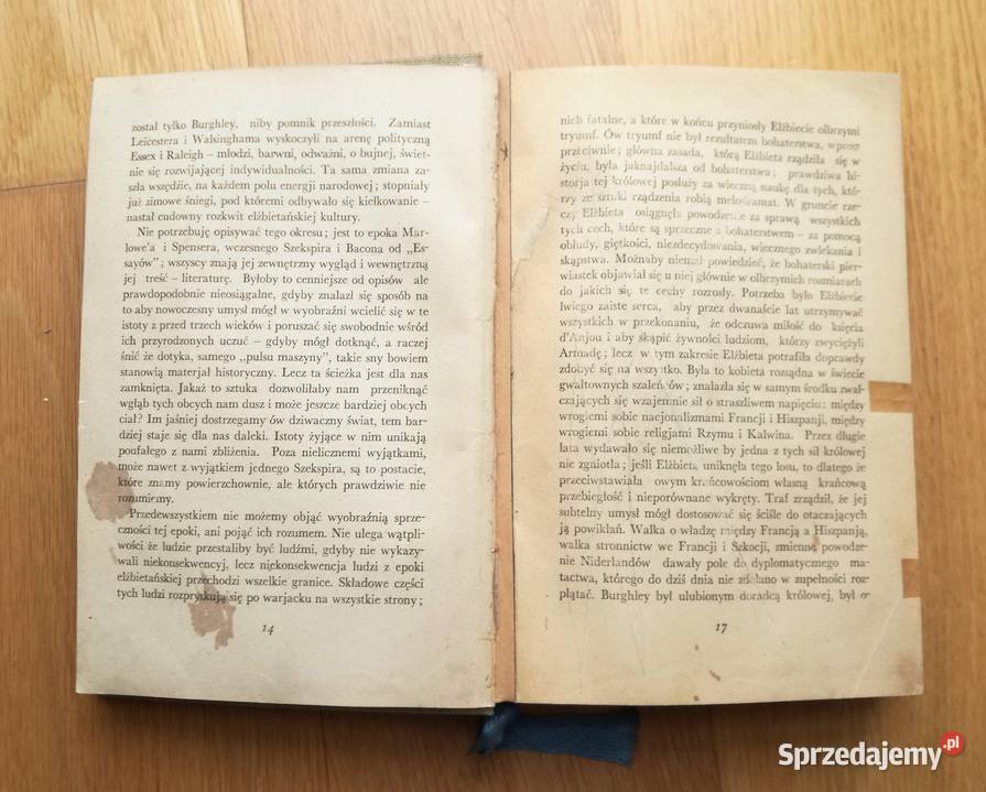 Królowa Elżbieta i hrabiaEssexHistorja tragiczna Proza i poezja