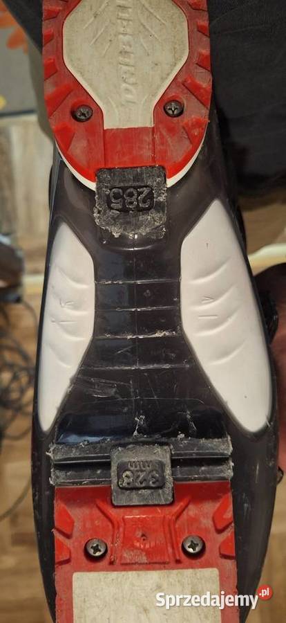 Buty narciarskie Jaworze Górne sprzedam