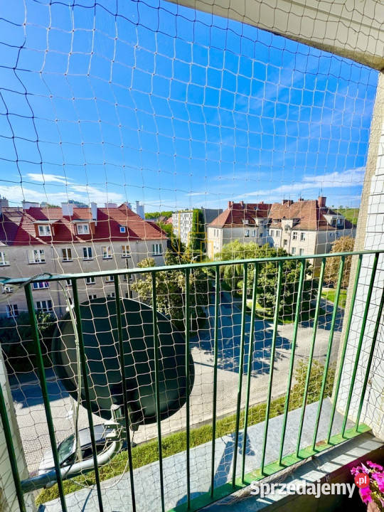 KruczaKrzyki3pokrozkład57m2balkonpiwnica sieć Wrocław