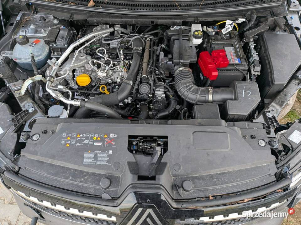 Renualt Australl 2025 Etech Salon polska mazowieckie Rozalin