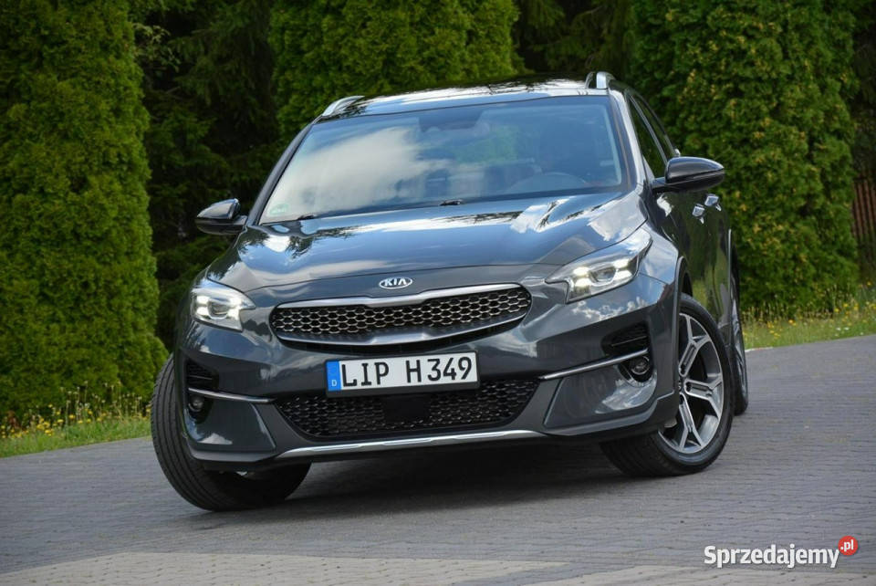 Kia XCeed Launch Full Led Panorama RadarACC JBL garażowany mazowieckie Ostrów Mazowiecka