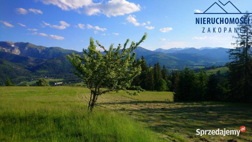 Grunt do sprzedania 2749m2 Kościelisko 130zł/m2 sprzedam