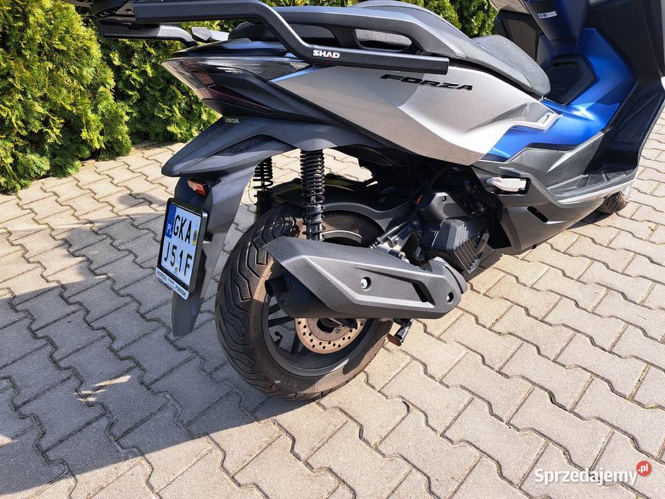 Honda Forza Banino