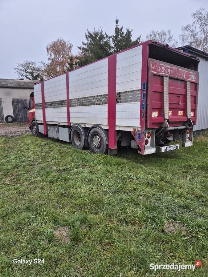 Volvo FM 12 Golub-Dobrzyń