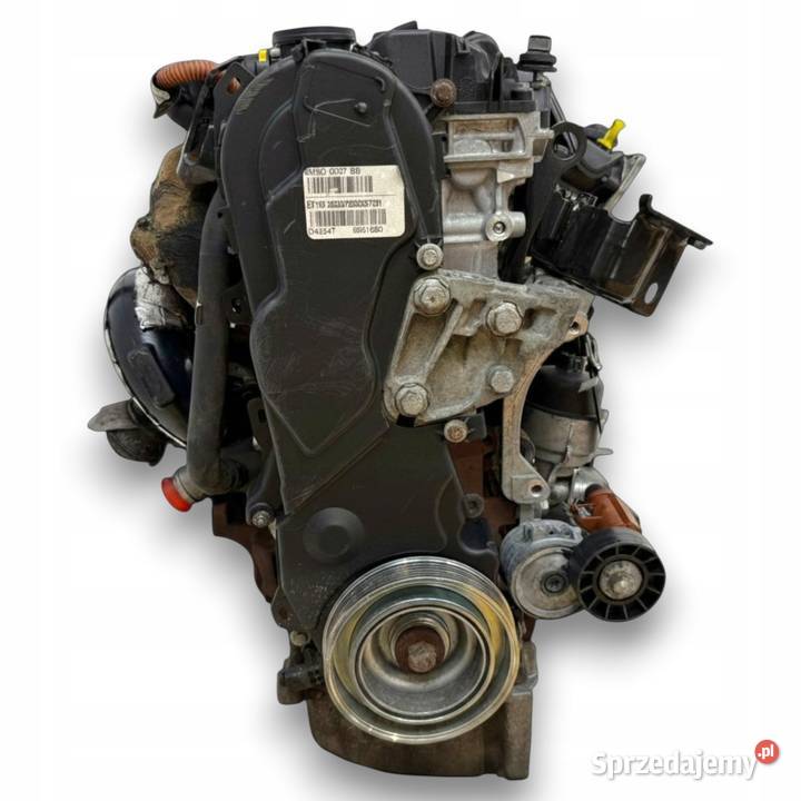 SILNIK G6DB Ford C C Focus MK2 20 TDCI 136 lubelskie Chełm sprzedam