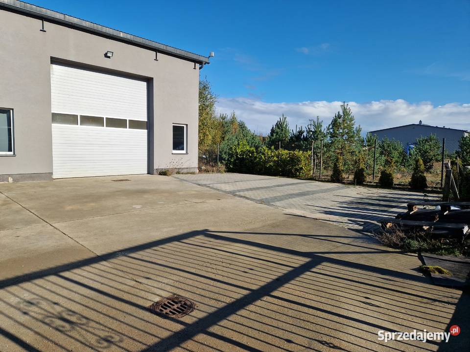 Hala 241 m w Redzie Pieleszewo Reda sprzedam