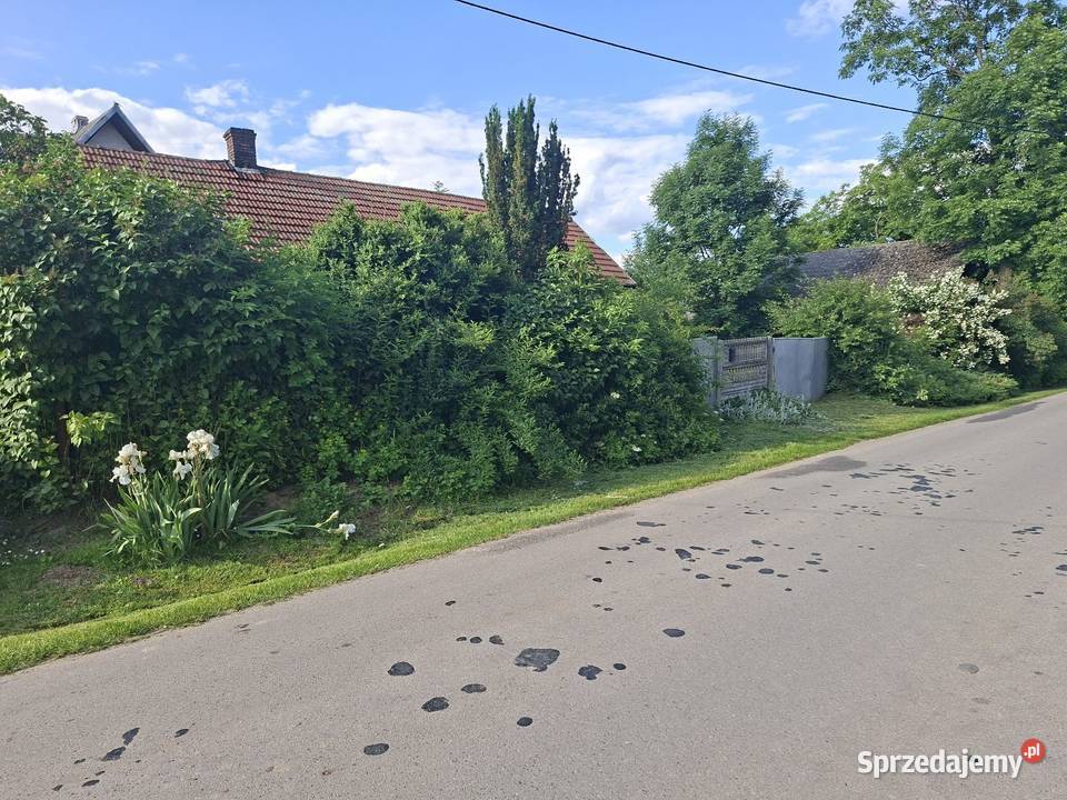 Dom wolnostojacy Liczba pokoi 1 Michałowice