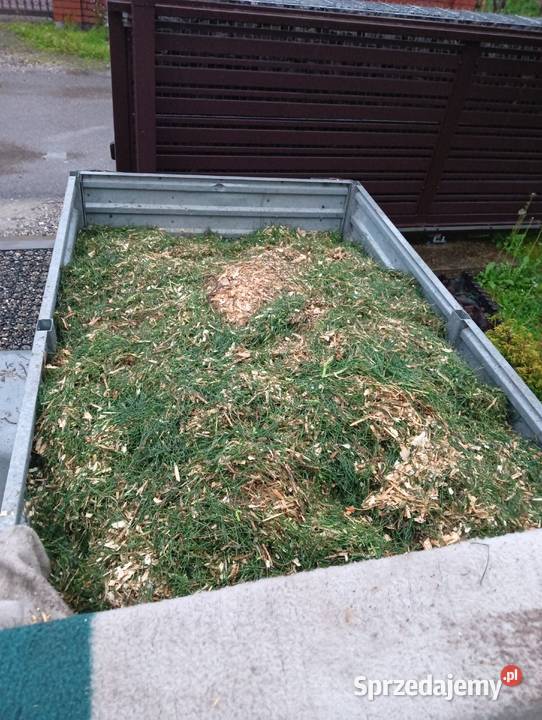 zrębka z gałęzi sosnowych podsypka kompost małopolskie Niepołomice