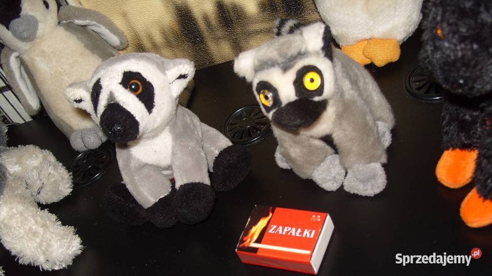 2 Lemurki Piesek2 Kotki2 PingwinyZestaw Rawicz