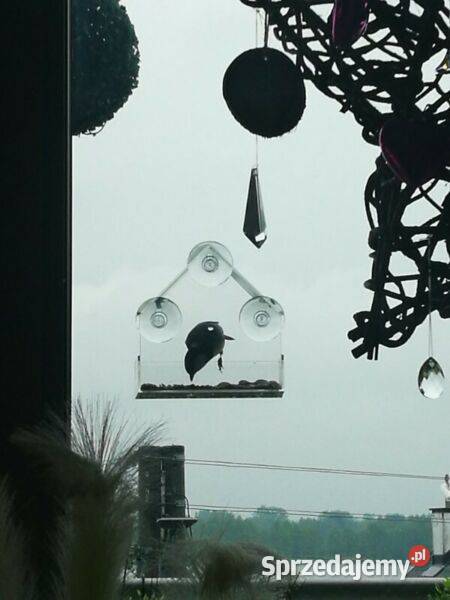 karmnik na szybę szyby przezroczysty akryl Warszawa