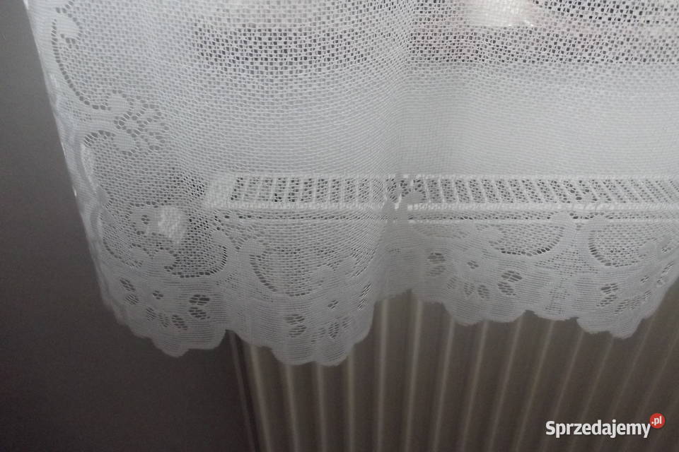 Mała firanka żakard papuga szer123 wys162 śląskie Piekary Śląskie