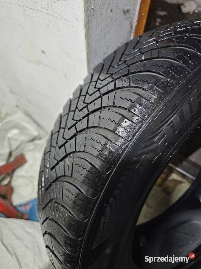 Opony całoroczne MS Laufenn G Fit 4S 17565R15 84 Syców