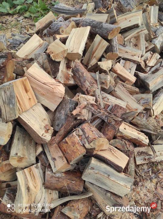 Drewno opałowe sosnowe łupane Inowrocław