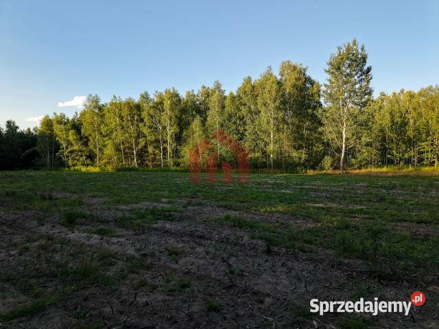 Działka 900m2 Czarna Sędziszowska 80zł/m2