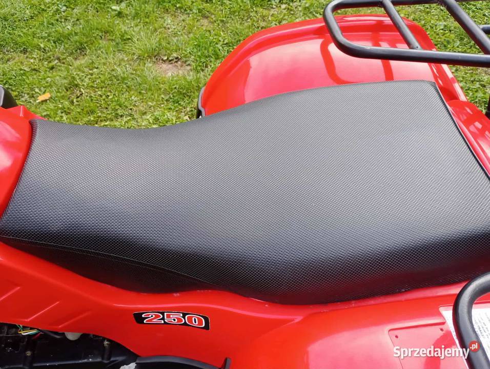 Quad 250 Tuchów