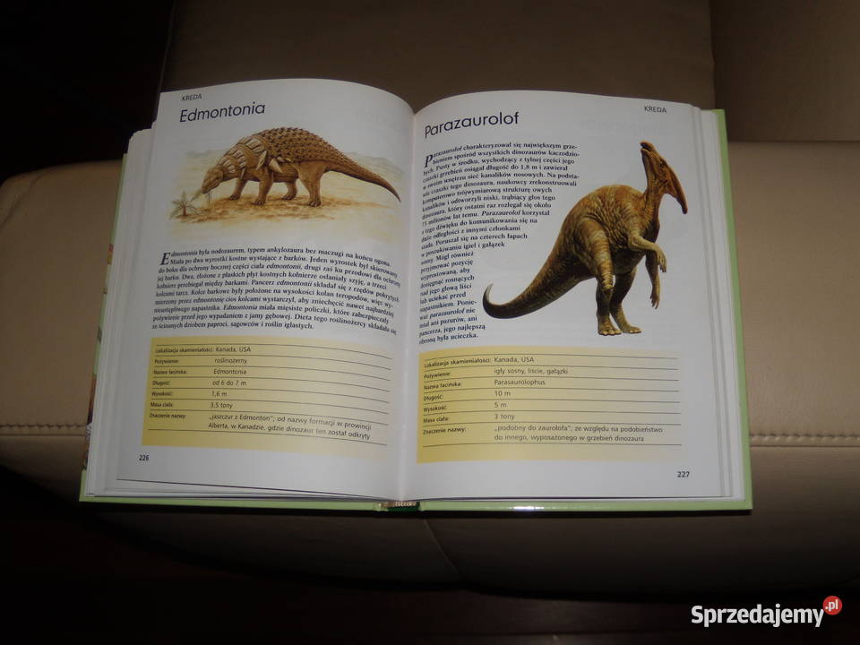 Dinozaury allozaura do tyranozaura mazowieckie Warszawa sprzedam