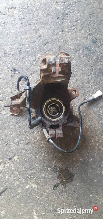 Zwrotnica lewa cougar Kielce