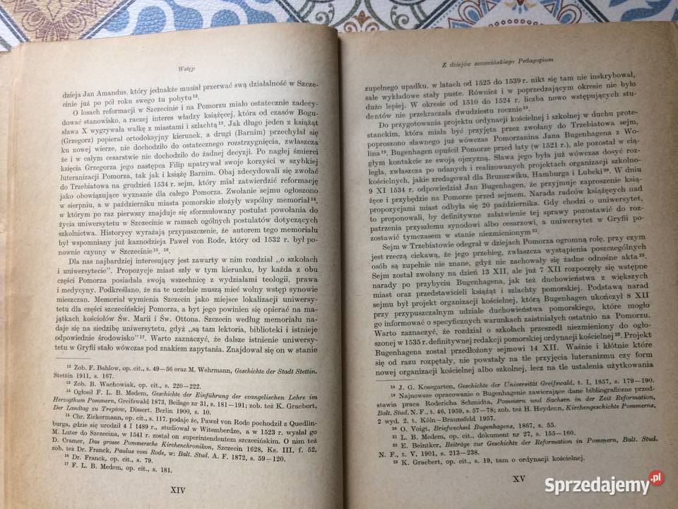 3840 Descriptio Paedagogii Stetinensis sprzedam