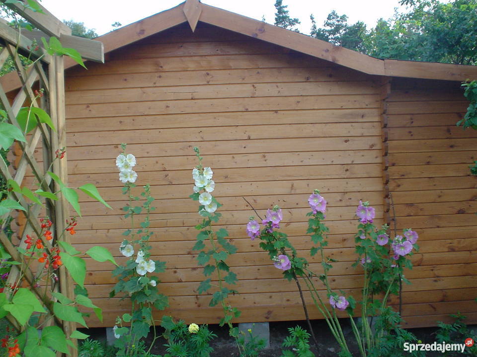 Działka rekreacyjna ROD Grochowa koło Piaseczna Warszawa sprzedam