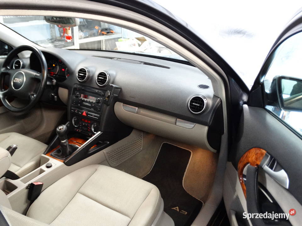 Audi A3 8P 16 Benzyna 102 FV VAT 2x Alufelgi Piaski