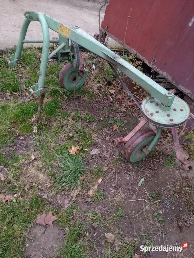 sprzedam pająka nieuszkodzony