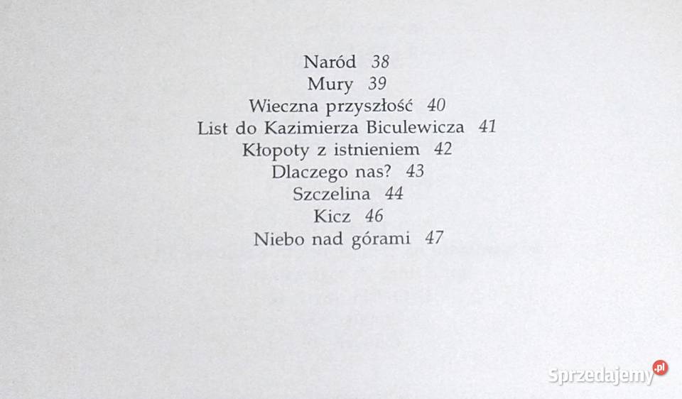 Kamyk i cień Julian Kornhauser miękka sprzedam