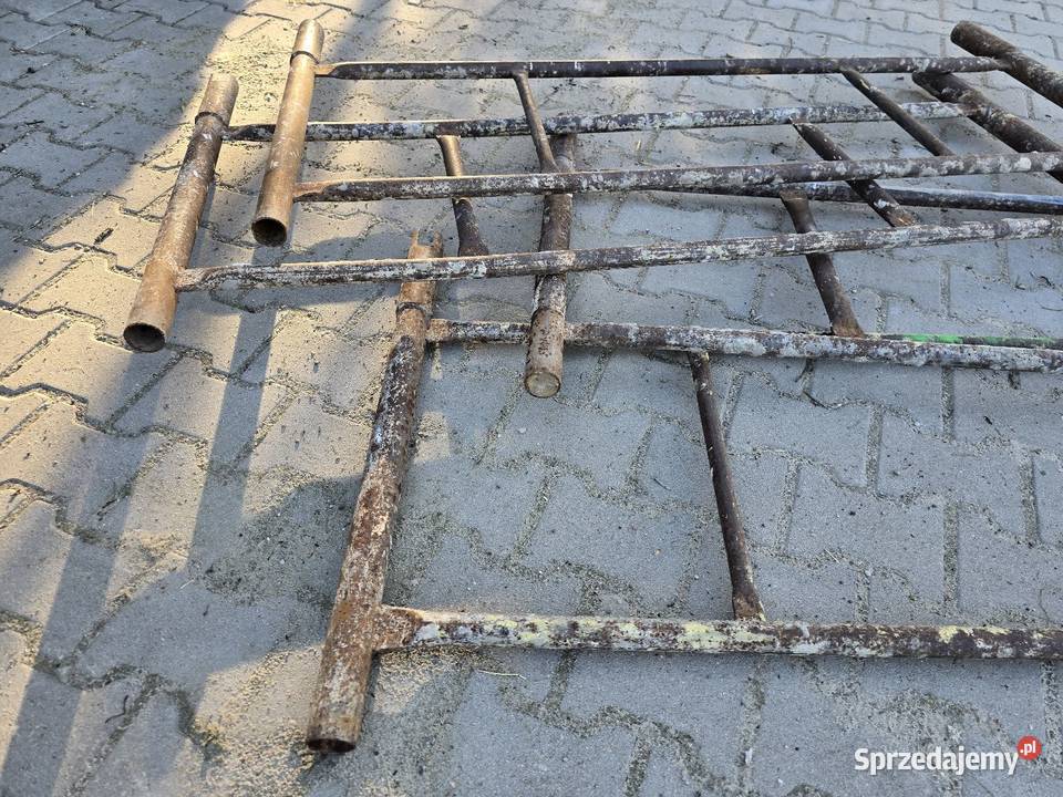 Rusztowanie warszawskie grube wielkopolskie Śrem