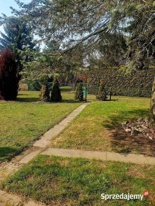 Działka ROD Paluch Miejski 300m2 Grunty i działki