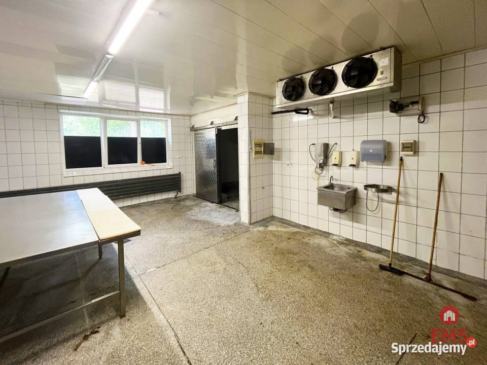 wynajmu lokalu Białystok 450m2