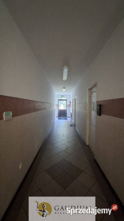 wynajmu lokalu 12m Tczew