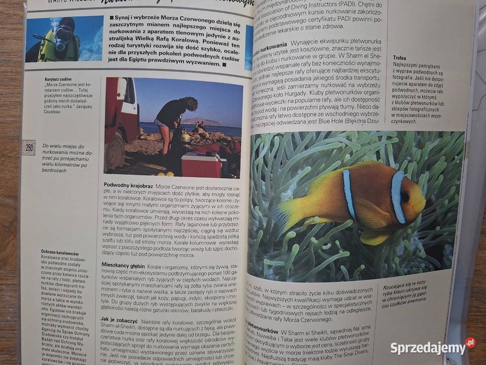 Egipt explorer A Sattin i S Franquet przewodnik Kraków