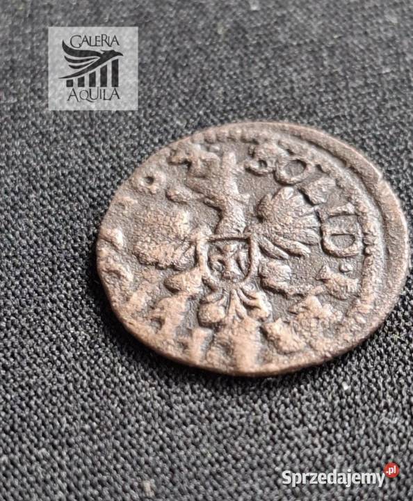 Szeląg koronny Jan II Kazimierz z 1664 roku Wejherowo