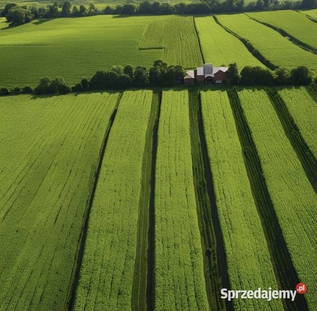 Wapno Nawozowe granulowane kreda wysoka jakość z Działoszyn sprzedam